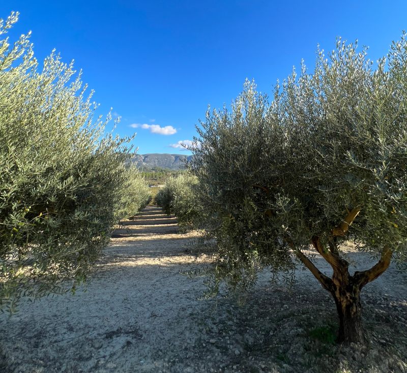 Firmenausflug: Laden geschlossen